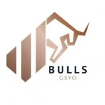 Bulls_Girisim__BULGS__halka_arz_tarihi_ackland_1739286082