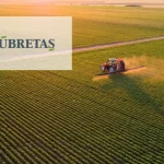 Gubretas__GUBRF__dev_sats_icin_ihale_suresini_uzat_1741609013